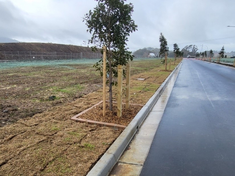The Vale Stage 2&3